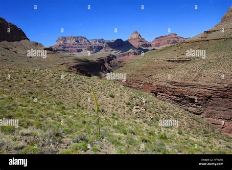 View of the Grand Canyon from the Grandview Trail in Grand Canyon ...