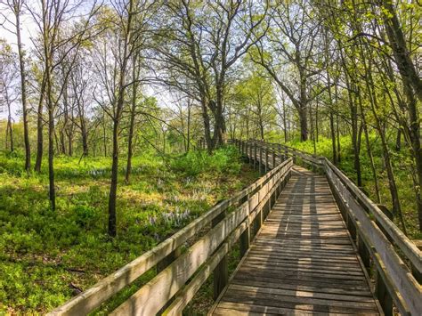 Discover the Top 15 Indiana Dunes Hiking Trails