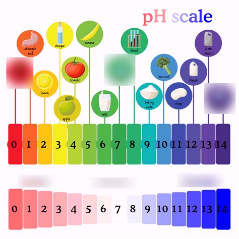 Ph Scale Horizontal