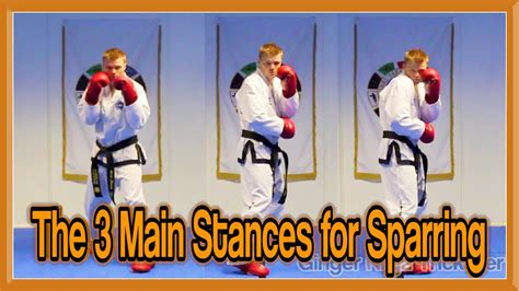 Taekwondo Sparring | The 3 Main Stances | GNT Martial Arts - YouTube