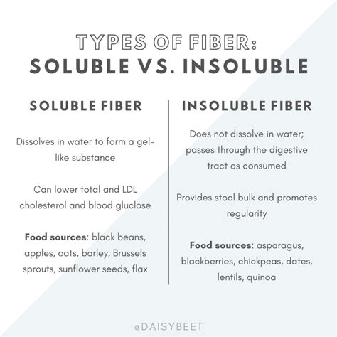 Soluble vs. Insoluble Fiber: Why You Need Them Both