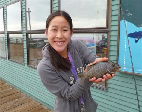 Capitola Wharf - Pier Fishing in California