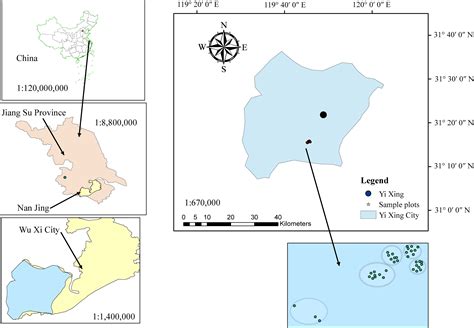 Frontiers | Two-level mixed-effects height to crown base model for moso bamboo (Phyllostachys ...