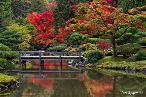 Japanese Garden Seattle Arboretum - e-nqravedlove