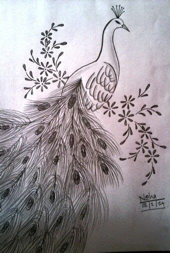 Peacock Drawing Pencil Shading - bestpencildrawing