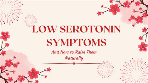 Low Serotonin Symptoms and How to Naturally Boost Levels – The Top ...