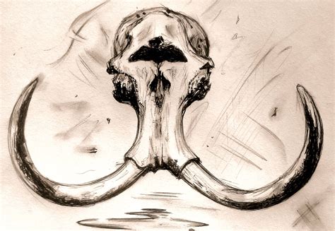 Mammoth skull I drew at work (ballpoint pen) | Animal skull drawing ...