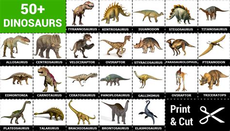 Pretty cards with pictures of dinosaurs and their names. Simply print and cut to have an ...