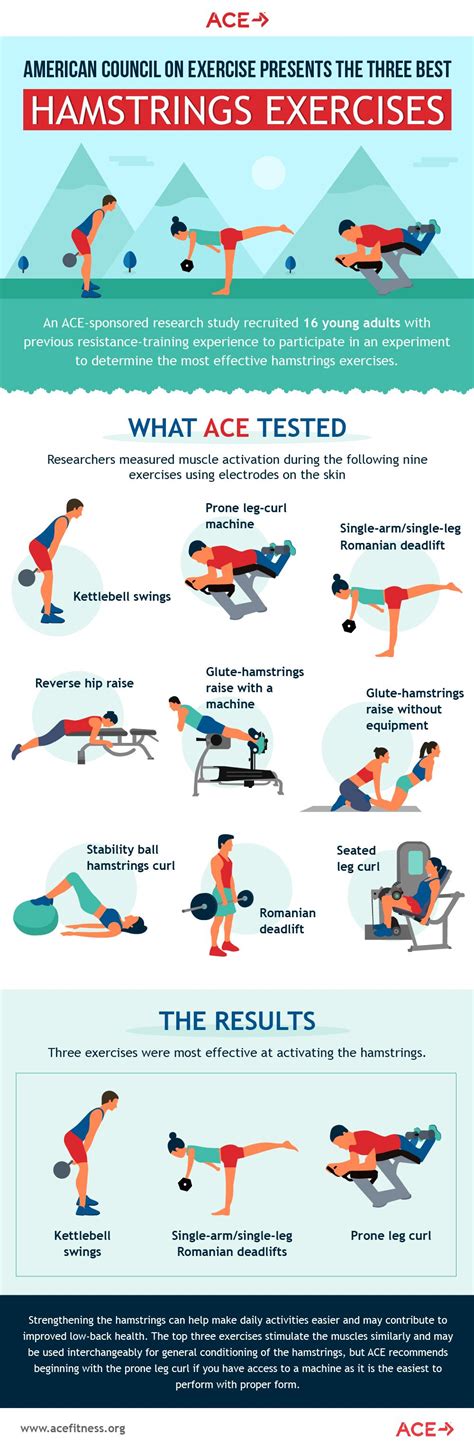 hamstring exercises no machine - Floy Nowak