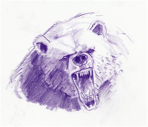 Jampix: Bear sketches