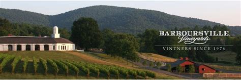 Barboursville VIneyards....beautiful vineyard. | Barboursville vineyard, Virginia vineyard ...