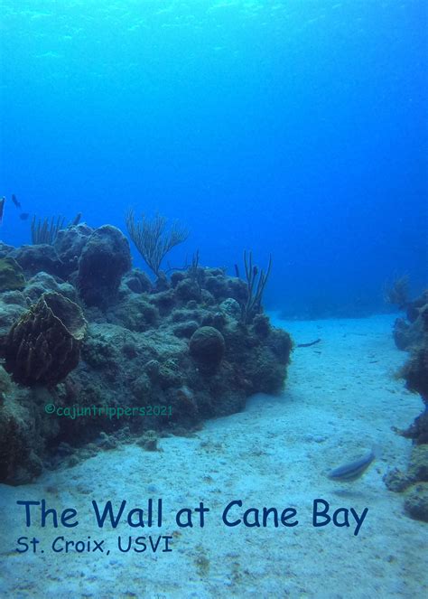 A fantastic wall dive at "The Wall at Cane Bay" in St. Croix USVI ...