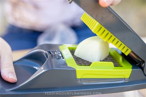 How to Chop Your Onions Faster and Avoid Tears | Feeding Our Flamingos