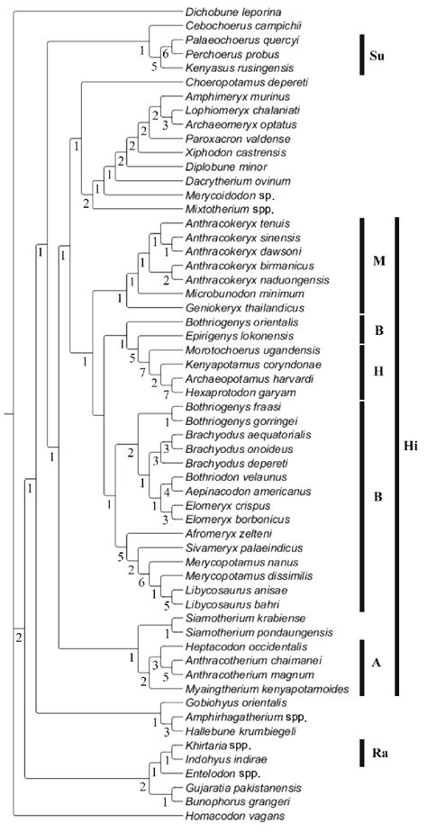 Tree obtained from the cladistics analysis (1025 steps, CI = 0.21, RI =... | Download Scientific ...