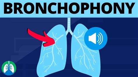 Bronchophony (Medical Definition) | Quick Explainer Video - YouTube