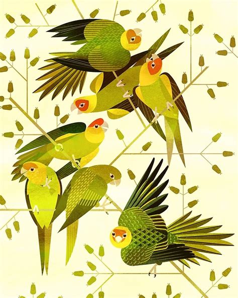 "Carolina Parakeet" by Scott Partridge | Redbubble