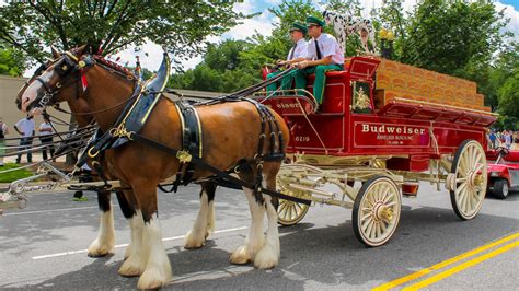 The Budweiser Clydesdale Makes An Emotional Comeback In This Super Bowl Commercial