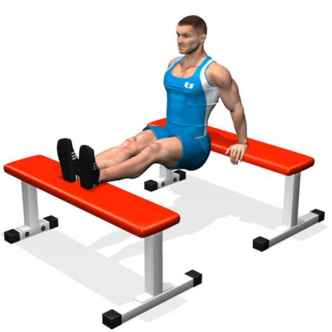 See 3 Benefits Of Doing Chair Dips Exercise | Fab.ng