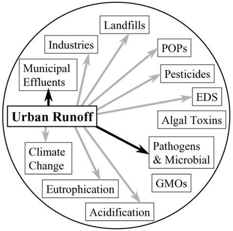 urban runoff hazards