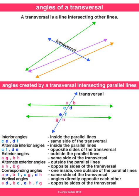 angles of a transversal ~ A Maths Dictionary for Kids Quick Reference by Jenny Eather