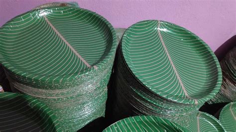 Printed Odisha Green Buffet Paper Plates 13" Disposable, Paper GSM: 100 ...