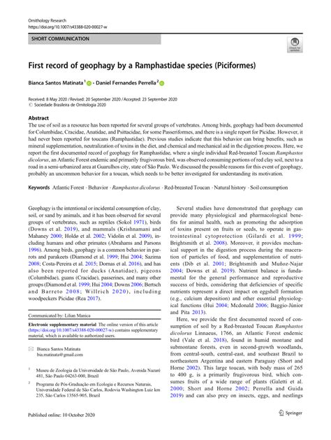 (PDF) First record of geophagy by a Ramphastidae species (Piciformes)