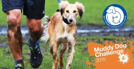 Brockwell Park hosts UK's first Muddy Dog Challenge