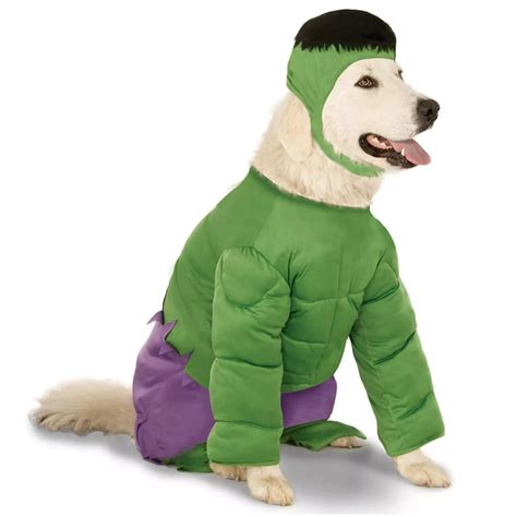 20+ Cute Halloween Costumes for Extra Large Dogs (up to 3XL!) - Hey, Djangles.