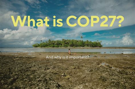 What Is COP27? - Almost