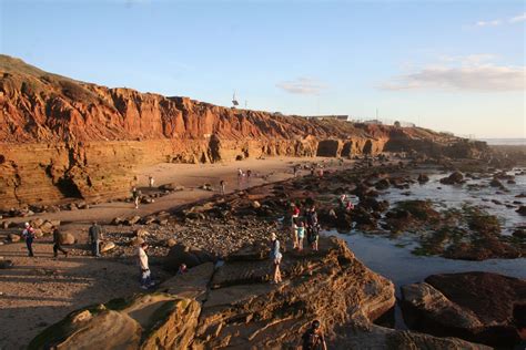 The 8 Best California Tide Pools for Families to Explore