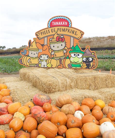 Tanaka Farms Hello Kitty Pumpkin Patch | My Styled Life | Hello kitty pumpkin, Pumpkin patch ...