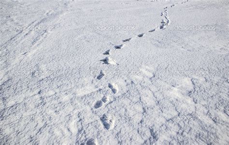 Human footprints in the snow — Stock Photo © Summer51 #42349357