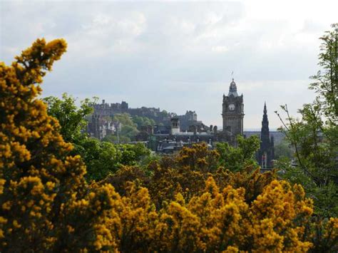 Edinburgh: Old Town History and Tales Walking Tour | GetYourGuide