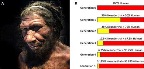 Jewish Bubba: Jawbone Found in Israel Causing Jaws to Drop: Human Time ...