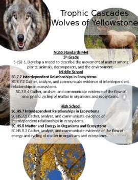 Trophic Cascades:Wolves of Yellowstone Activity by Kayla's Krafty Korner