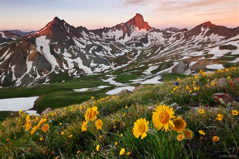 Wetterhorn Sunrise Sunflowers | Uncompahgre Wilderness, Colorado ...