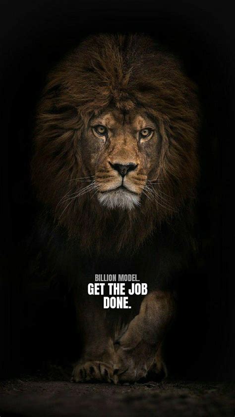 Lion Quotes Wallpapers - Top Free Lion Quotes Backgrounds - WallpaperAccess