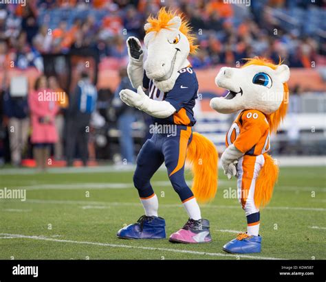 Broncos mascot hi-res stock photography and images - Alamy