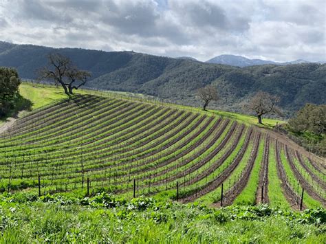 News | Newsletter - April 2019 (Silvestri Vineyards - Family Owned Estate Winery and Tasting ...