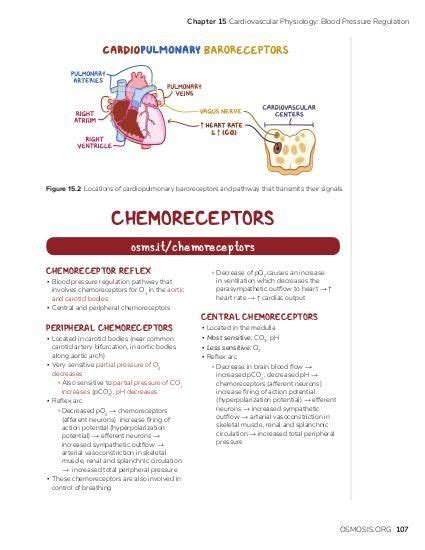 Chemoreceptors | Osmosis