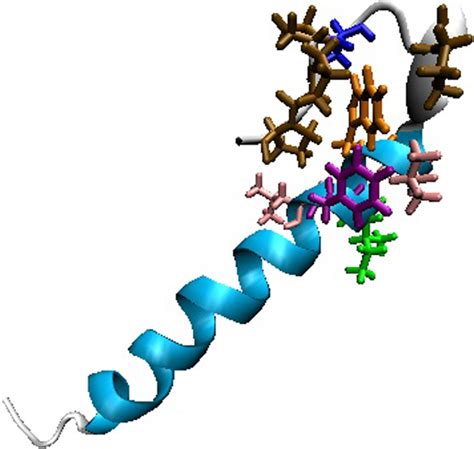 Experimental structure of Exendin-4 used as the target structure in SMD ...