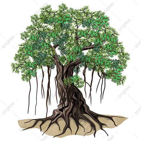 Banyan Tree Vector Illustrations Hand Drawn Art, Banyan Tree, Roots ...