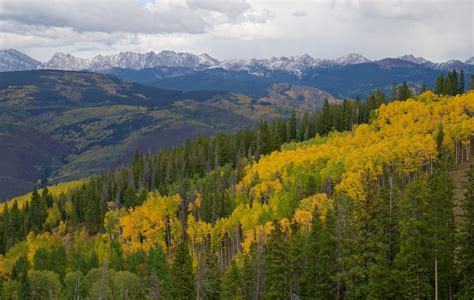 Beaver Creek Ski Resort Mountain Bike Trail in Avon, Colorado ...