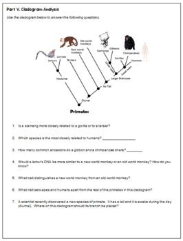 Evolution Review Worksheet/Quiz by It's Not Magic It's Science | TPT