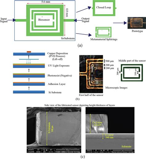 Biosensor: (a) Schematic of Proposed Sensor Design (b) Fabrication ...