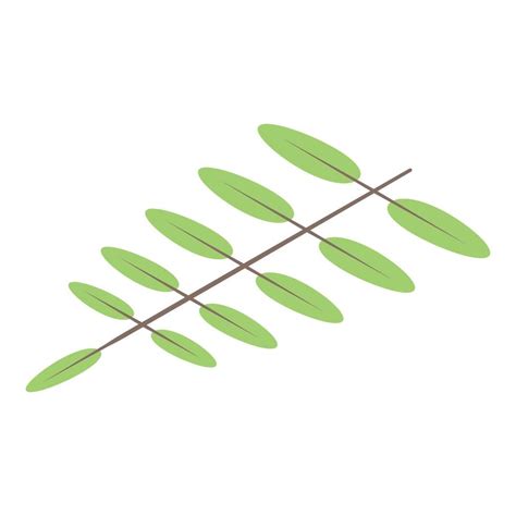 Olive tree branch icon, isometric style 15915003 Vector Art at Vecteezy