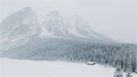 landscape, Snow, Forest, Mountain Wallpapers HD / Desktop and Mobile Backgrounds