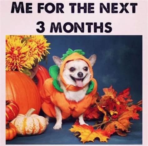 30 Fall Memes for the Autumn-Obsessed - Funny Fall Memes