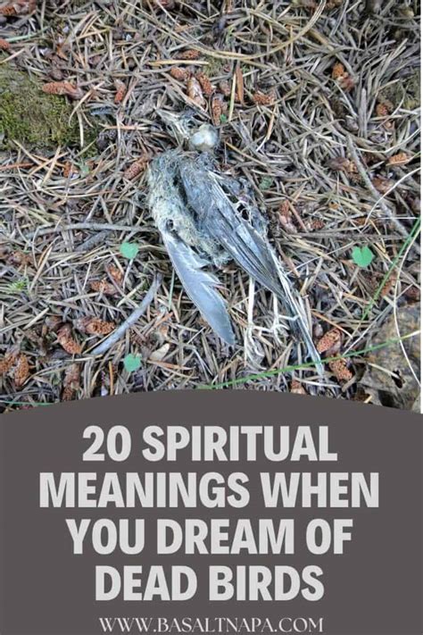 20 Spiritual Meanings When You Dream of Dead Birds