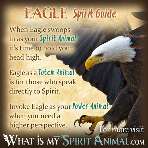 Eagle Symbolism & Meaning | Spirit, Totem & Power Animal | Spirit guides, Animal totem spirit ...